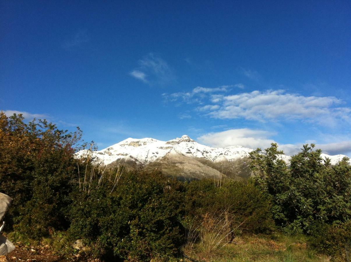 Villa Treglia B&B Formia Eksteriør bilde