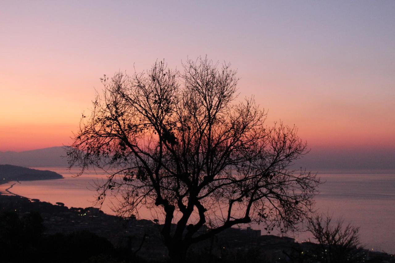 Villa Treglia B&B Formia Eksteriør bilde